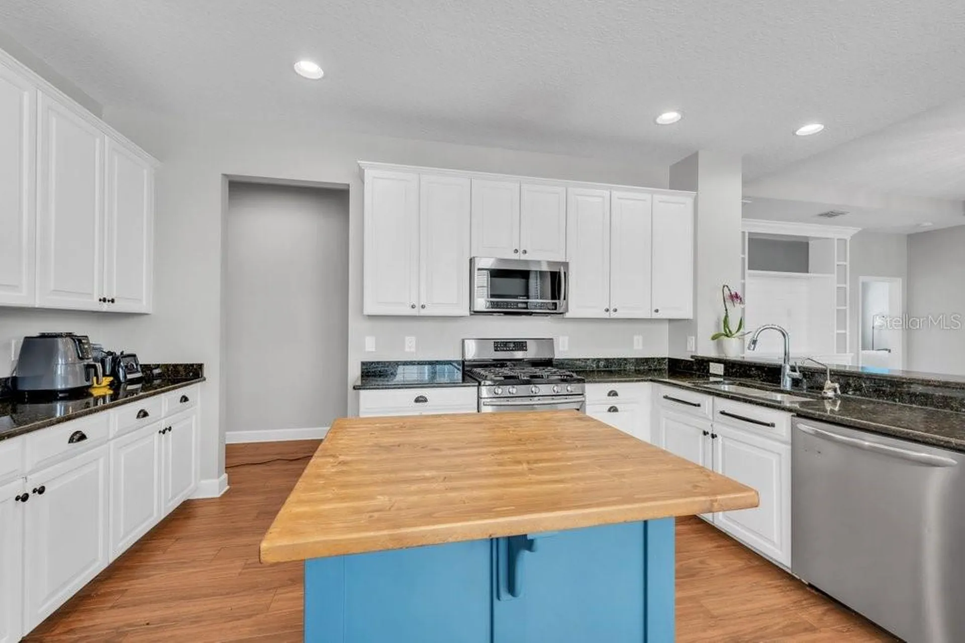 16013 Loneoak View Drive Lithia FL 33547