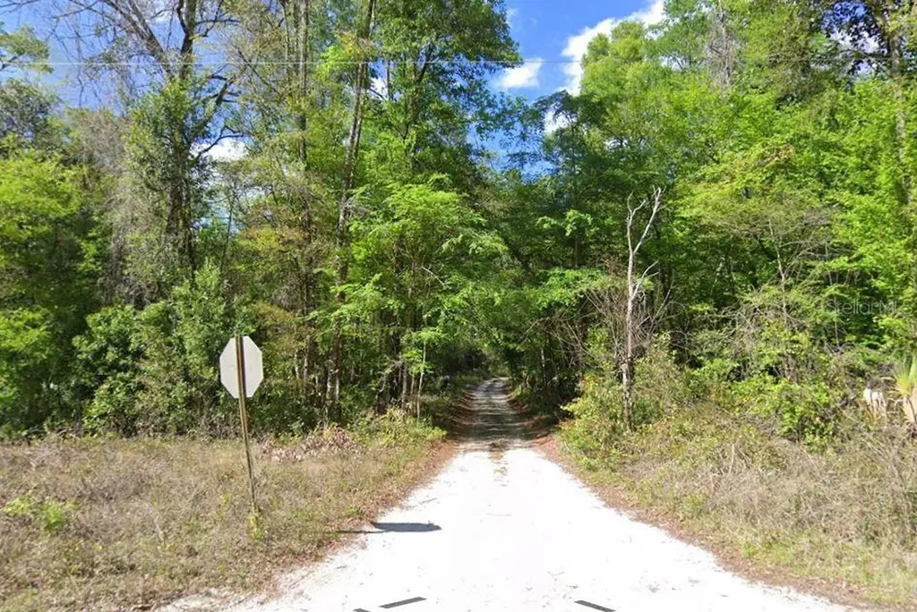 676TH Lane Old Town FL 32680