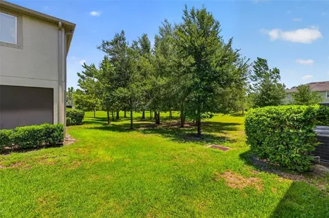 6231 Scarlet Darter Way Tampa FL 33625