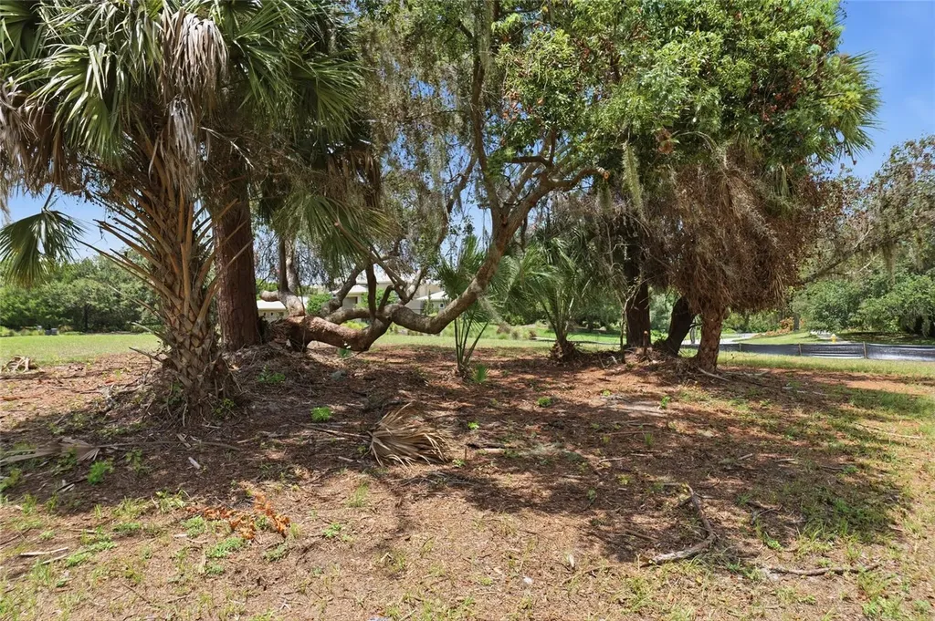 520 Austin Drive Tarpon Springs FL 34688