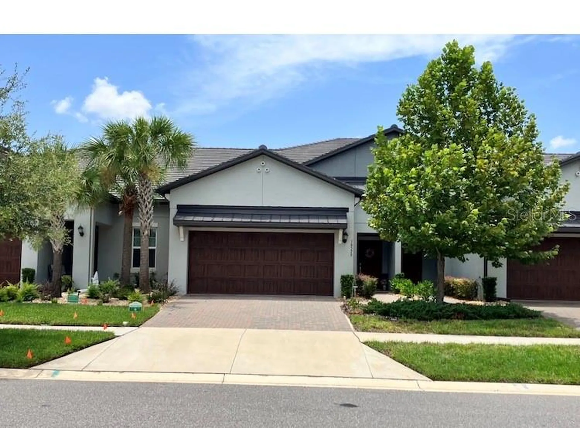 16579 Shell Bay Drive Land O Lakes FL 34638