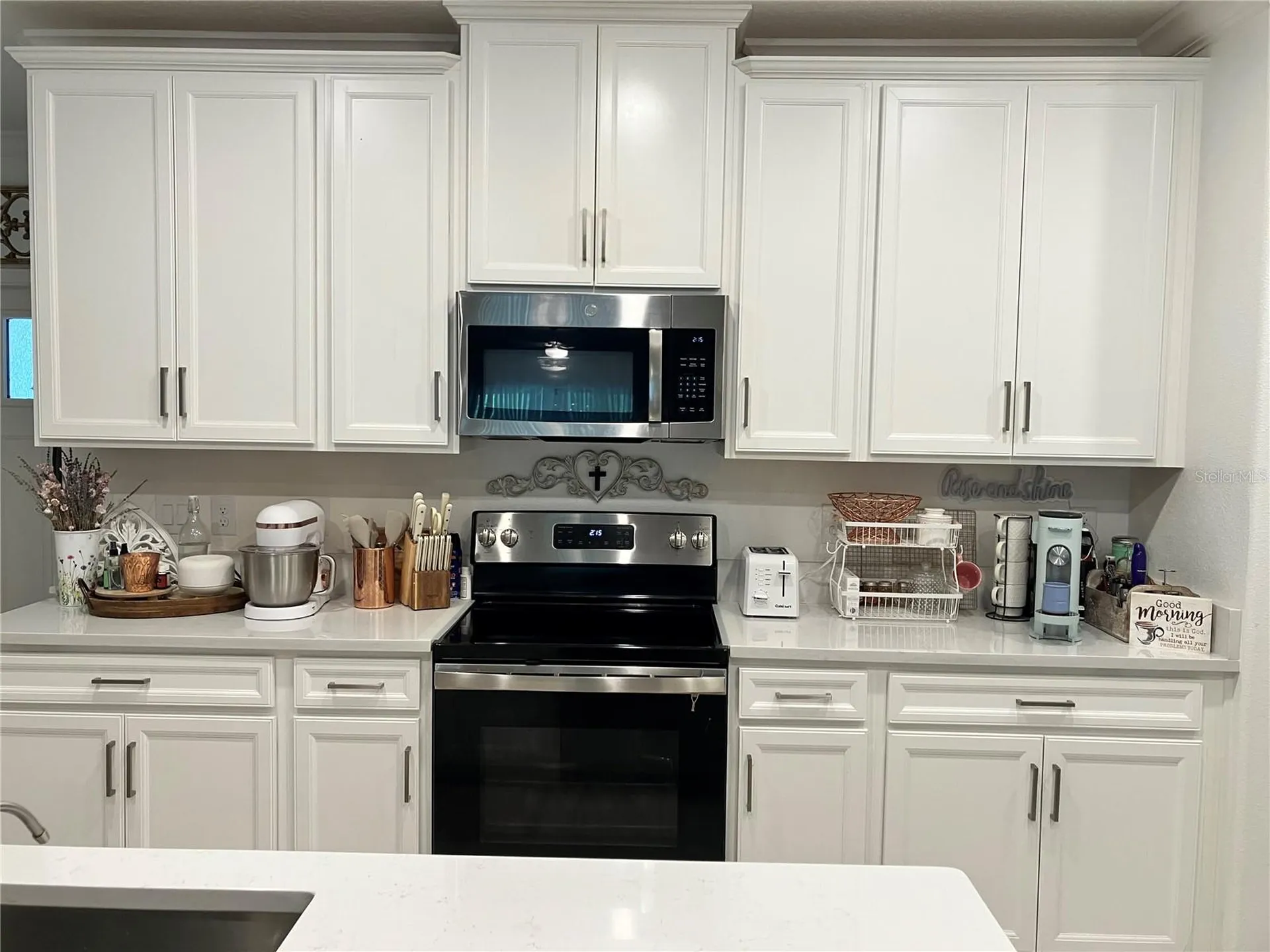 16579 Shell Bay Drive Land O Lakes FL 34638