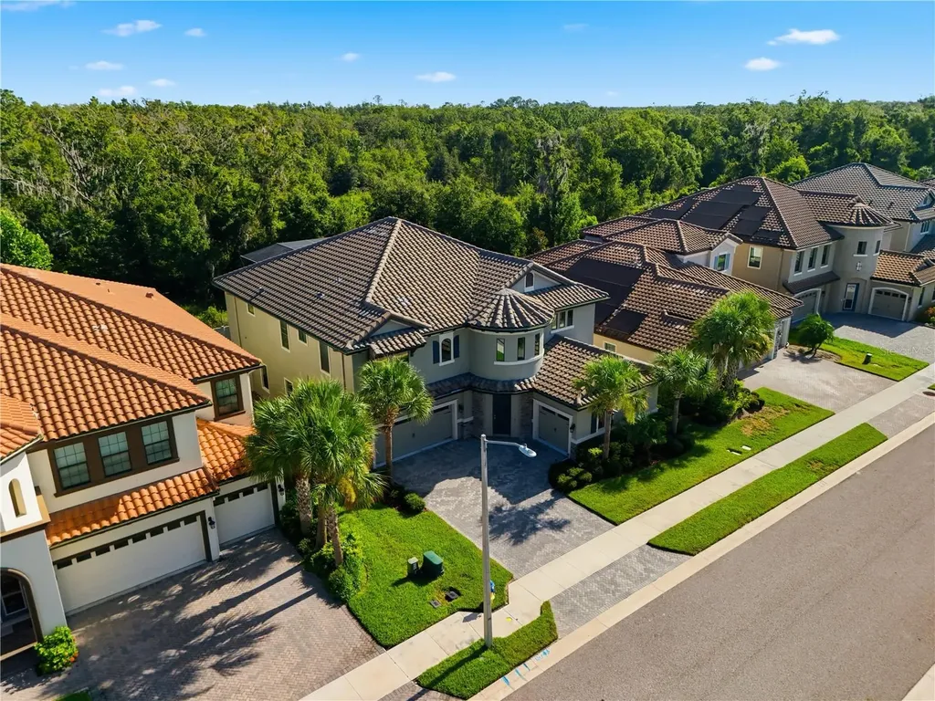 21711 Amelia Rose Way Land O Lakes FL 34637