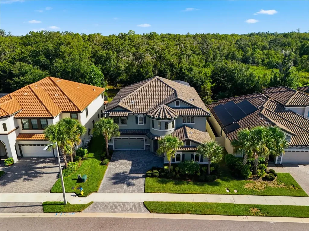 21711 Amelia Rose Way Land O Lakes FL 34637
