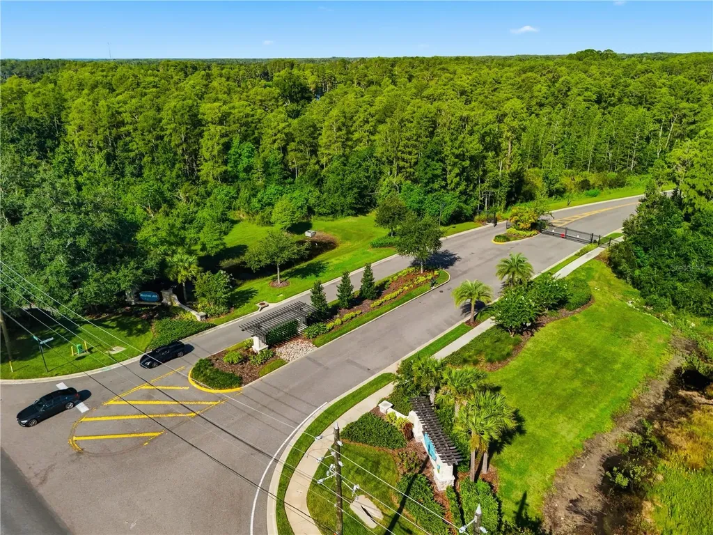 21711 Amelia Rose Way Land O Lakes FL 34637