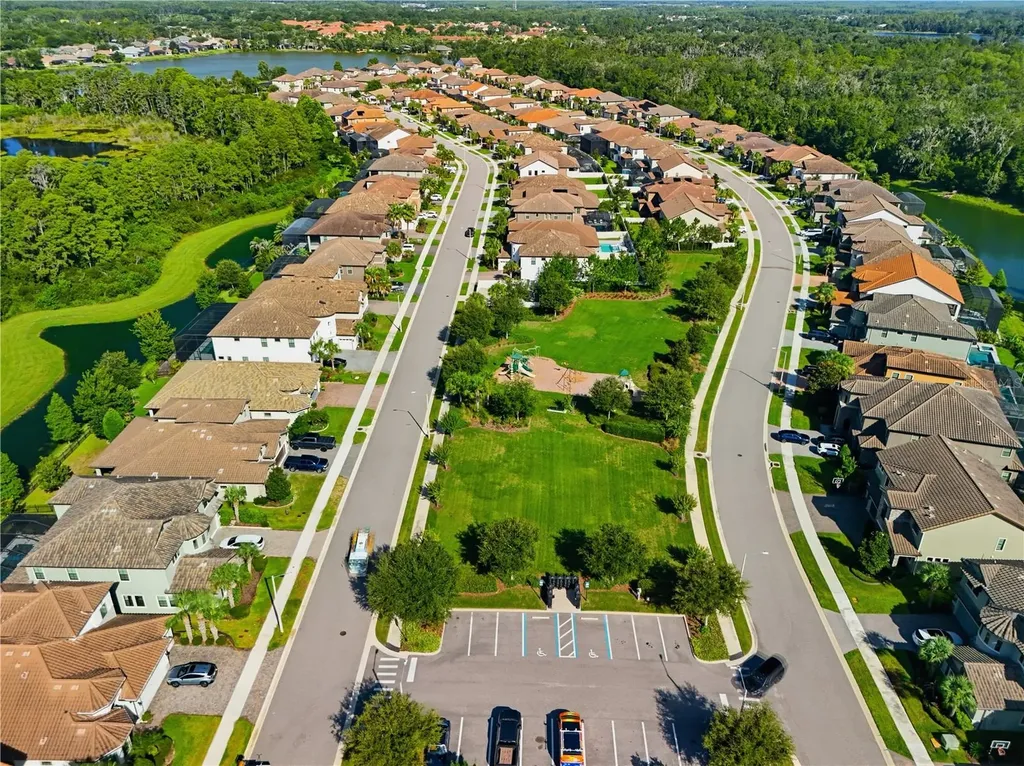 21711 Amelia Rose Way Land O Lakes FL 34637