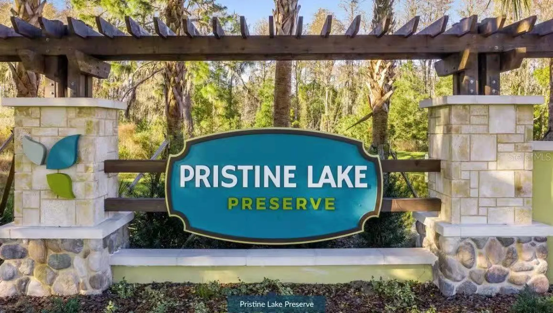 21711 Amelia Rose Way Land O Lakes FL 34637