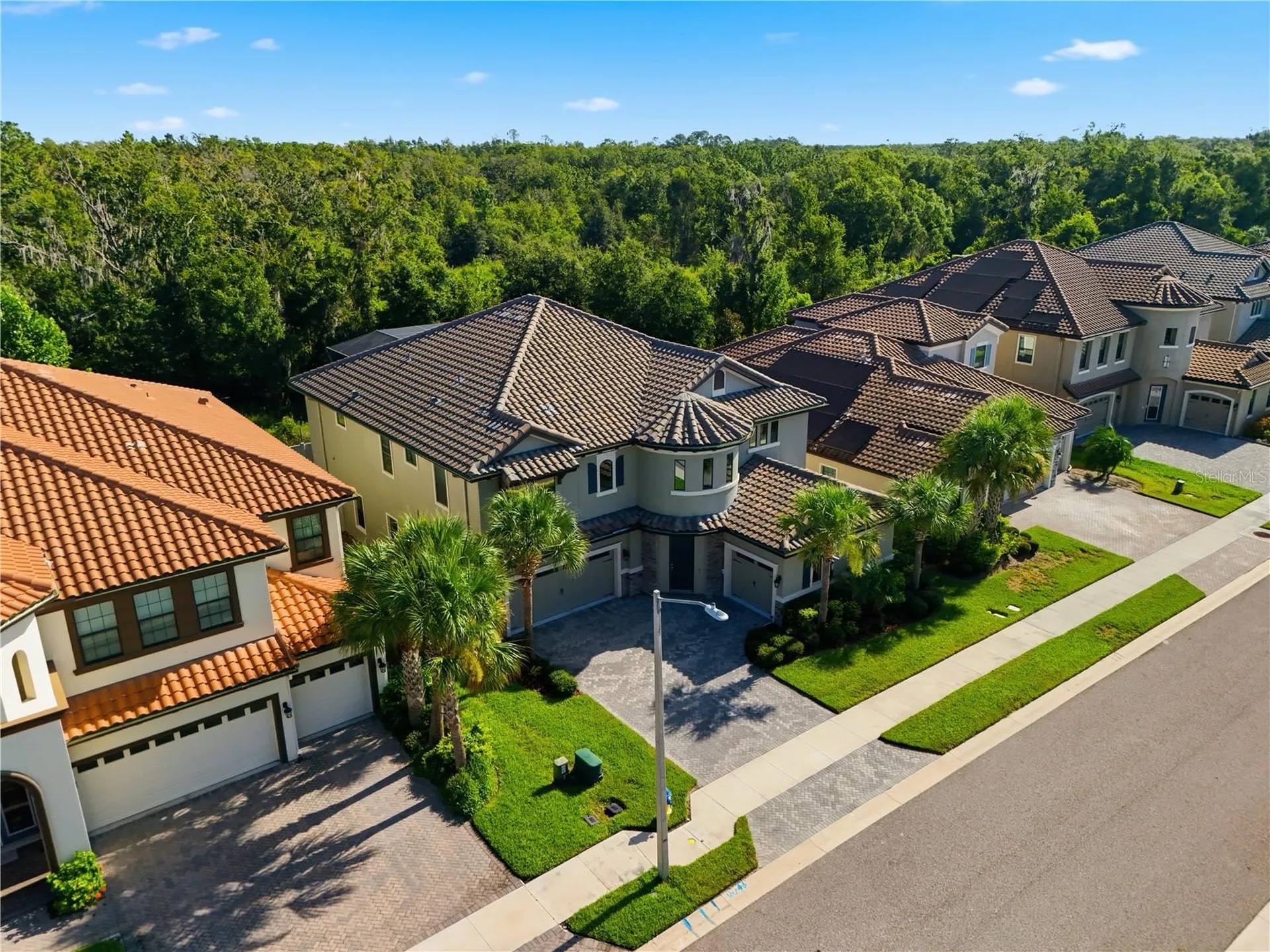 21711 Amelia Rose Way Land O Lakes FL 34637
