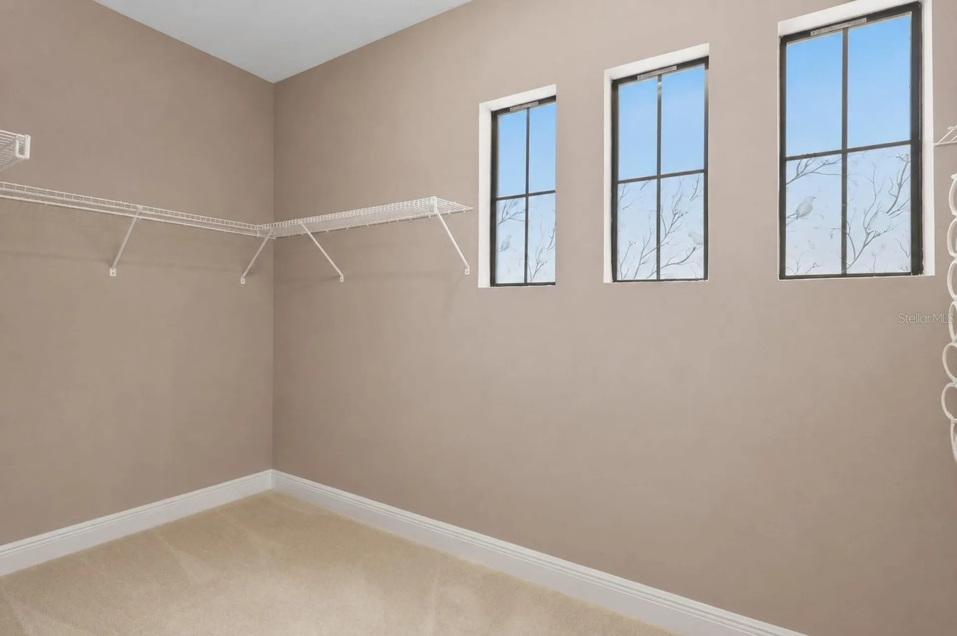21711 Amelia Rose Way Land O Lakes FL 34637