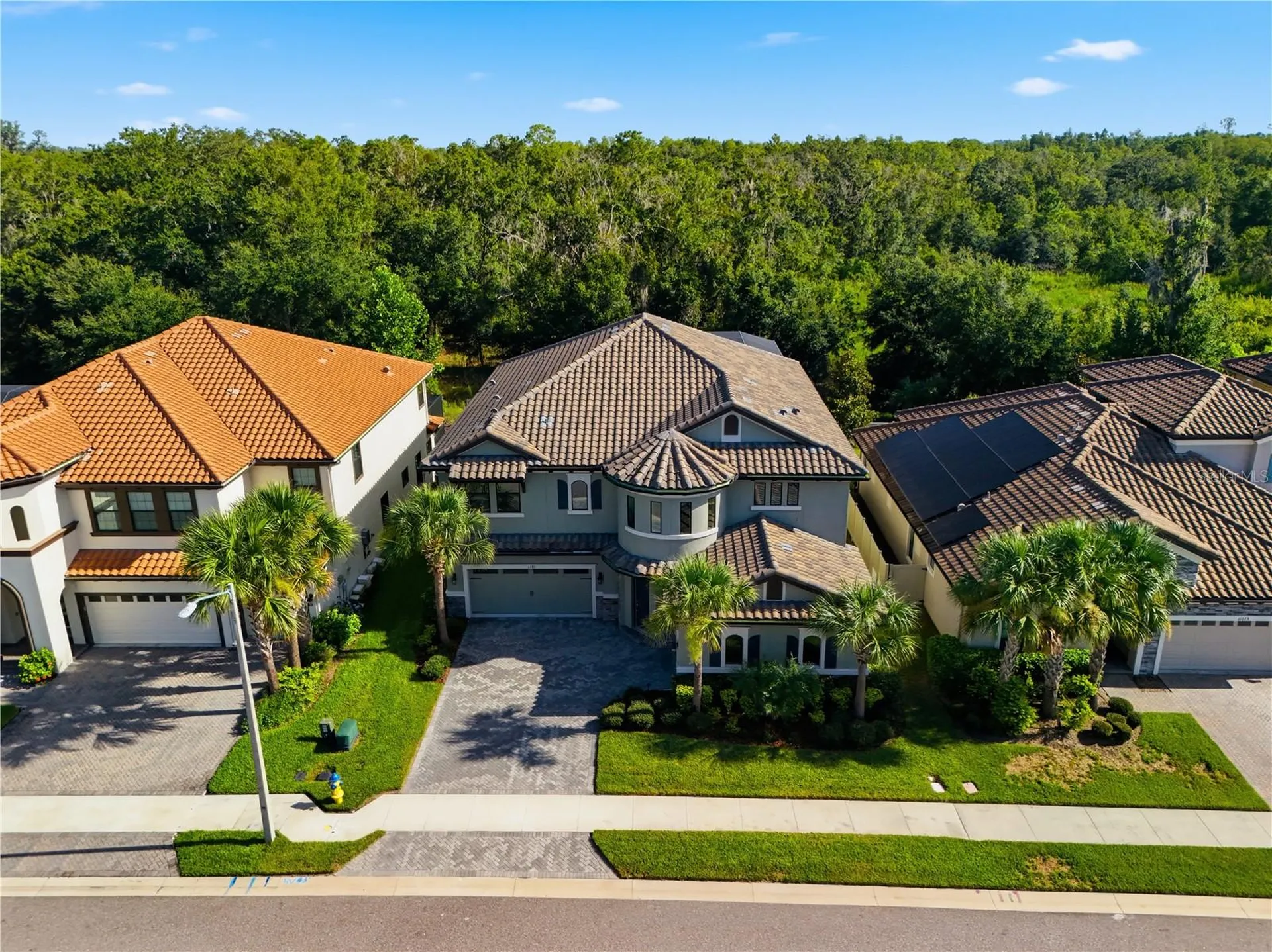 21711 Amelia Rose Way Land O Lakes FL 34637