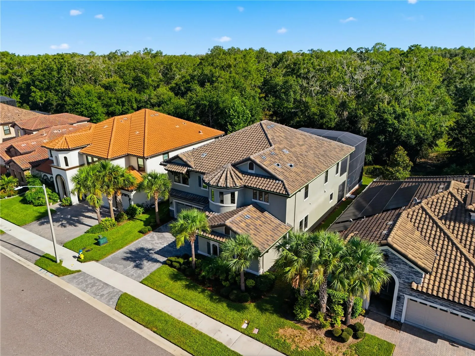21711 Amelia Rose Way Land O Lakes FL 34637