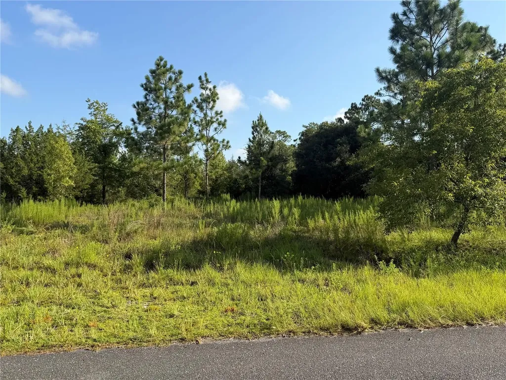 35TH Street Morriston FL 32668