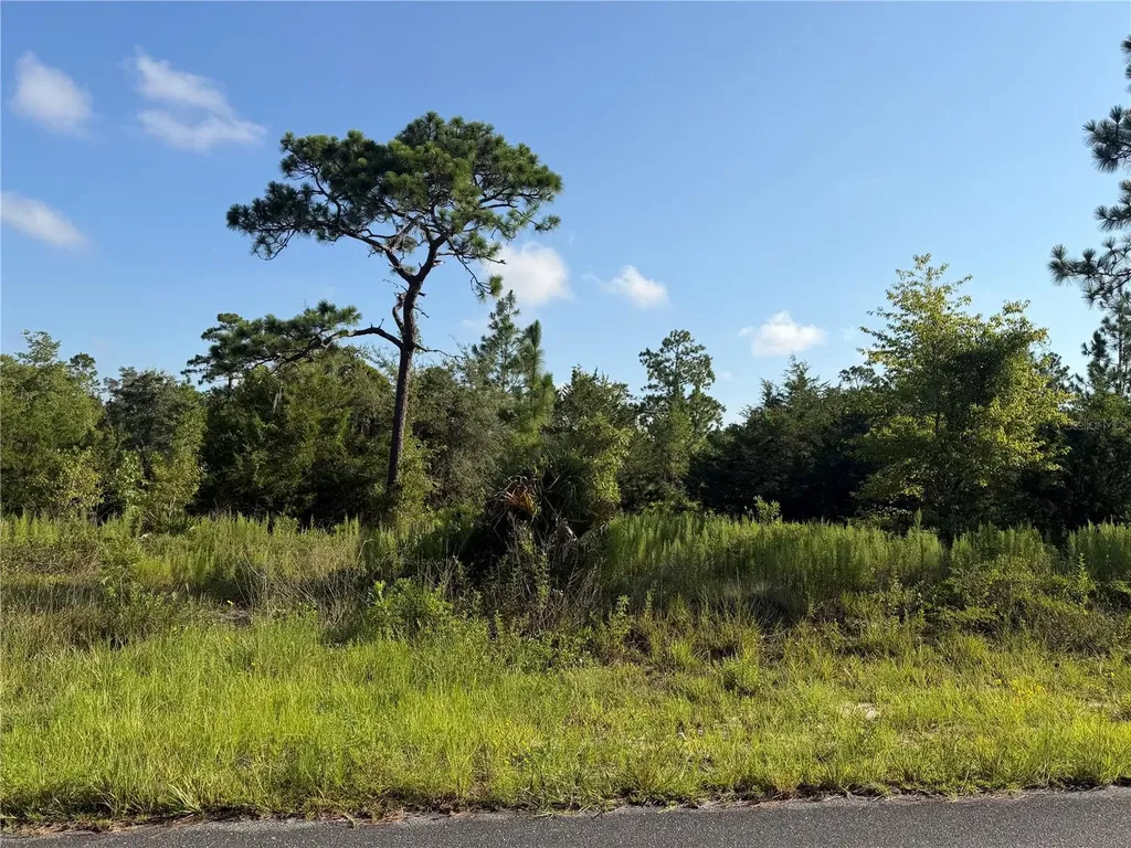 35TH Street Morriston FL 32668