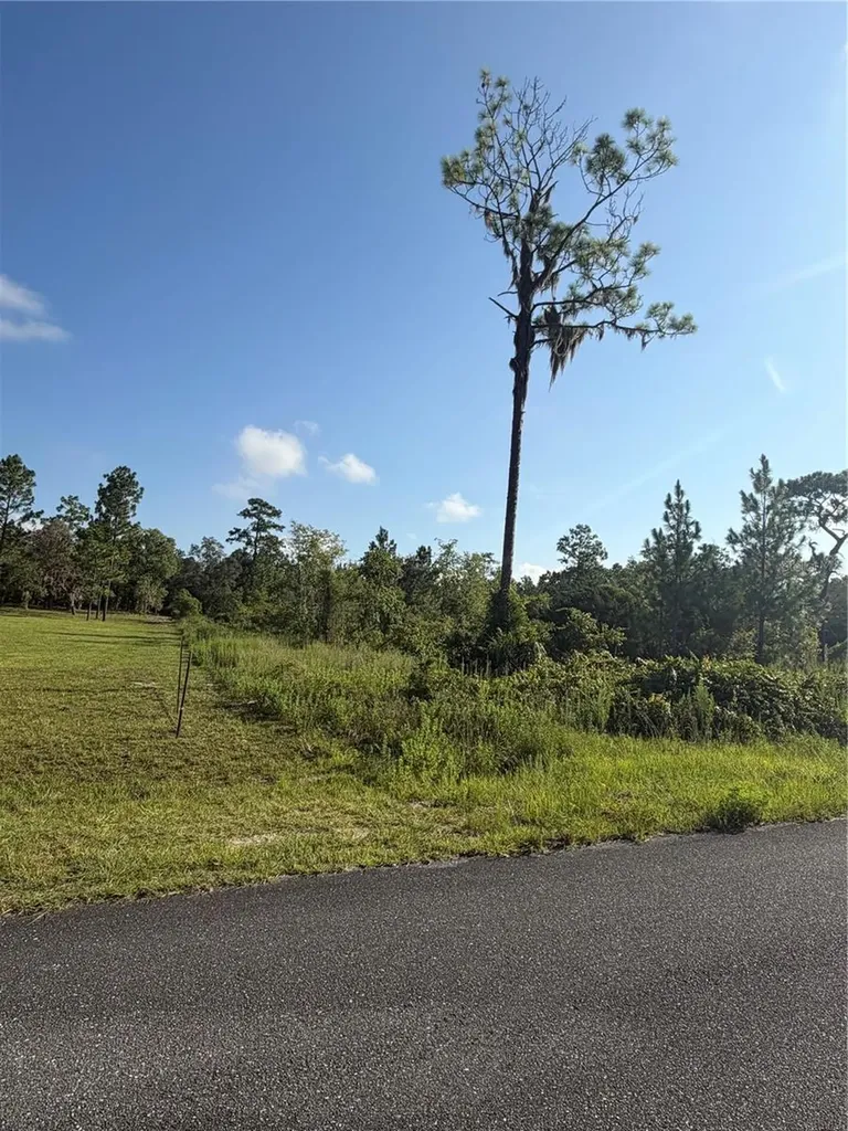 35TH Street Morriston FL 32668