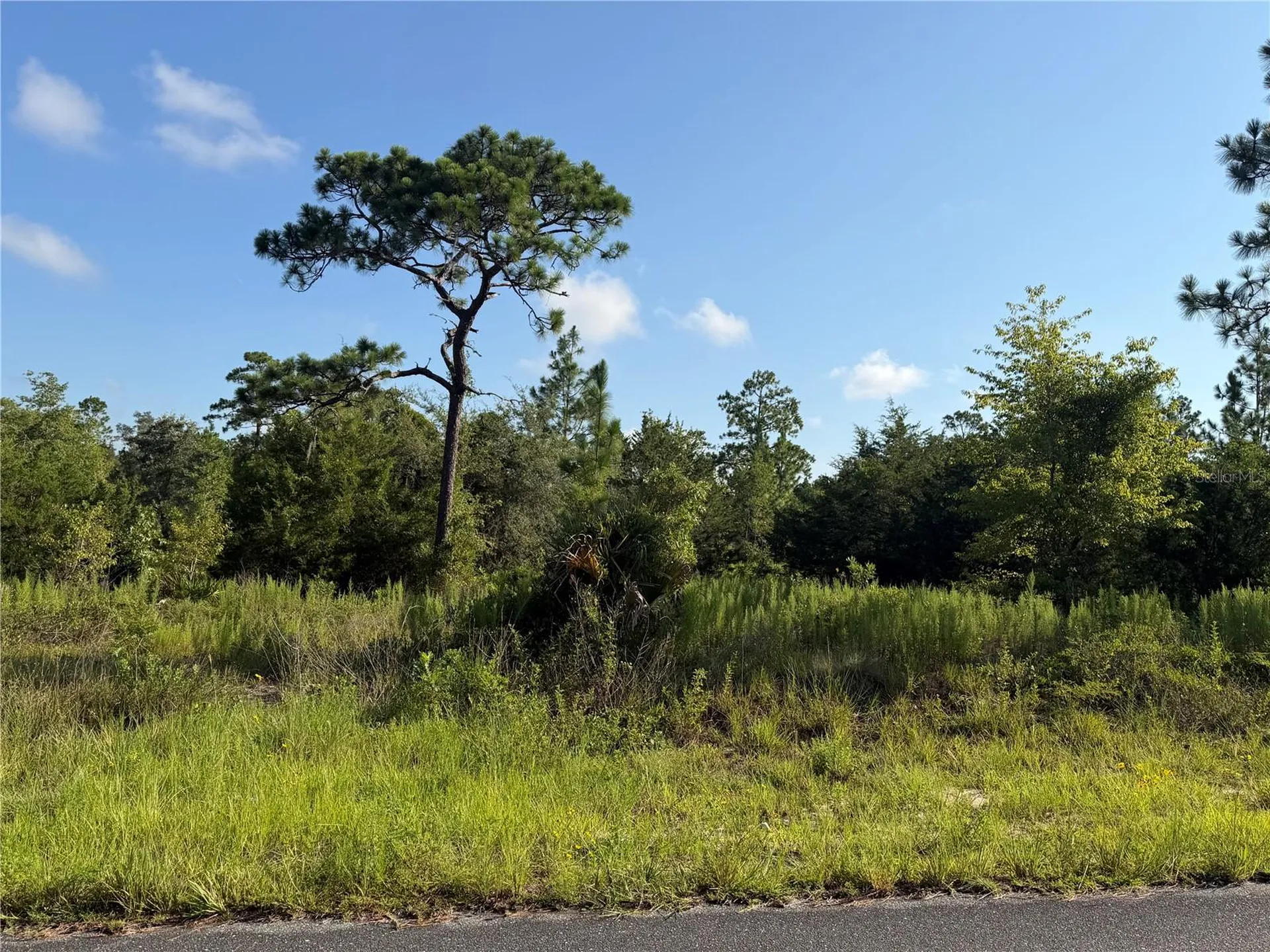 35TH Street Morriston FL 32668