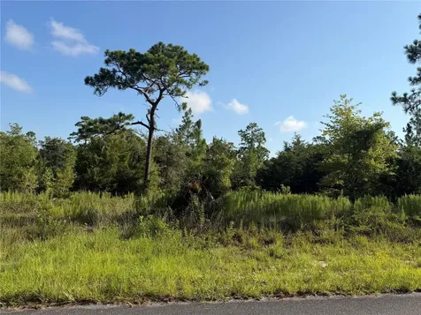 35TH Street Morriston FL 32668