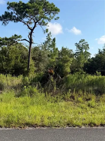35TH Street Morriston FL 32668