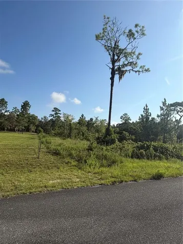 35TH Street Morriston FL 32668