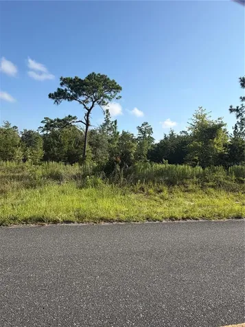 35TH Street Morriston FL 32668