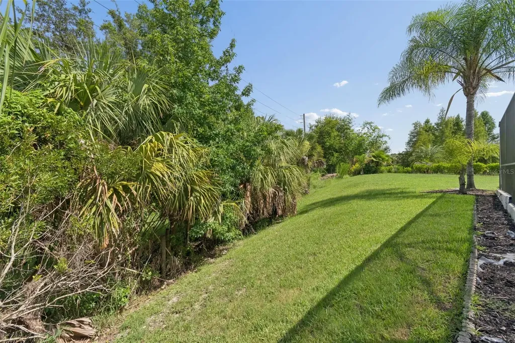 3526 Morgans Bluff Court Land O Lakes FL 34639