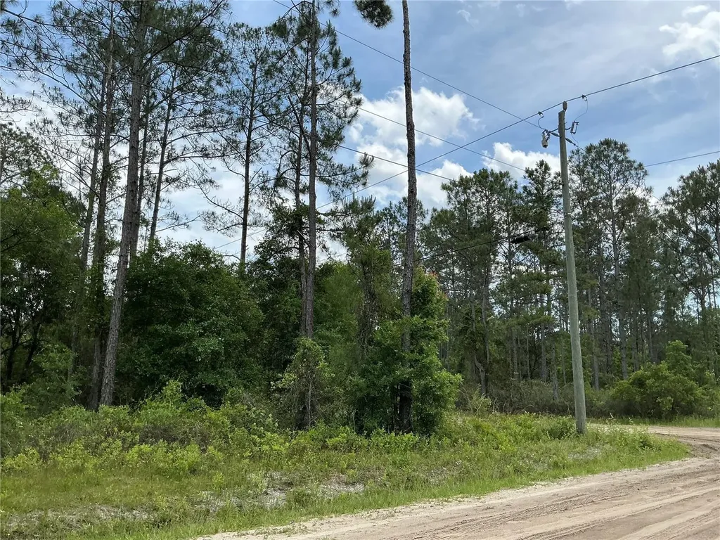 10730 Beckenger Avenue Hastings FL 32145