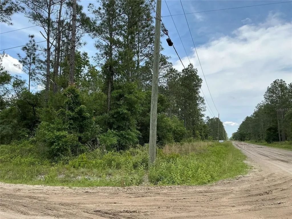 10730 Beckenger Avenue Hastings FL 32145
