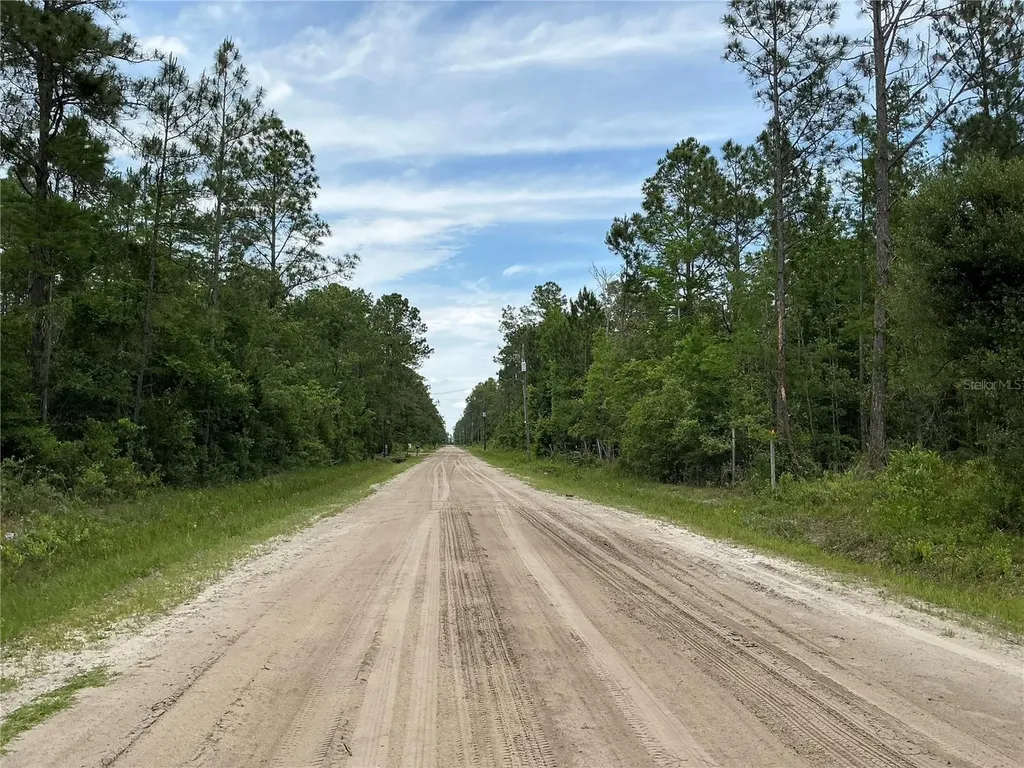 10730 Beckenger Avenue Hastings FL 32145