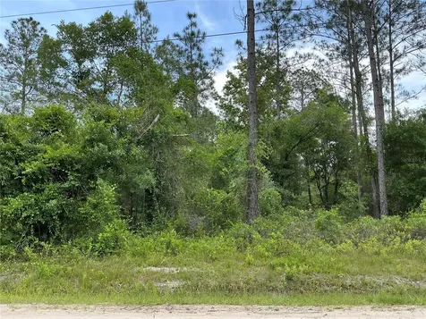10730 Beckenger Avenue Hastings FL 32145