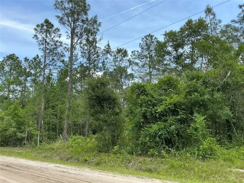 10730 Beckenger Avenue Hastings FL 32145