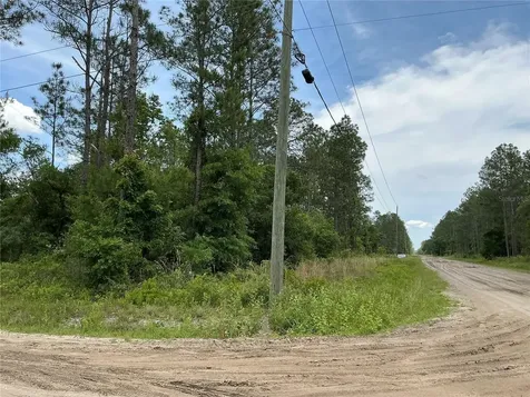 10730 Beckenger Avenue Hastings FL 32145