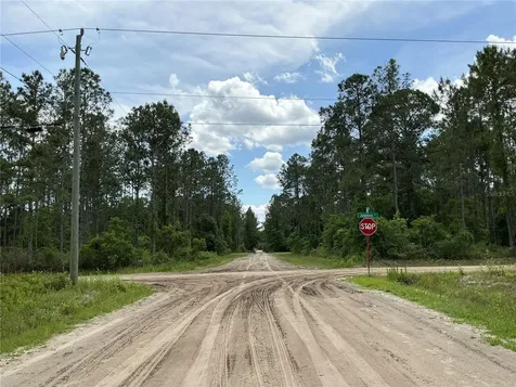 10730 Beckenger Avenue Hastings FL 32145