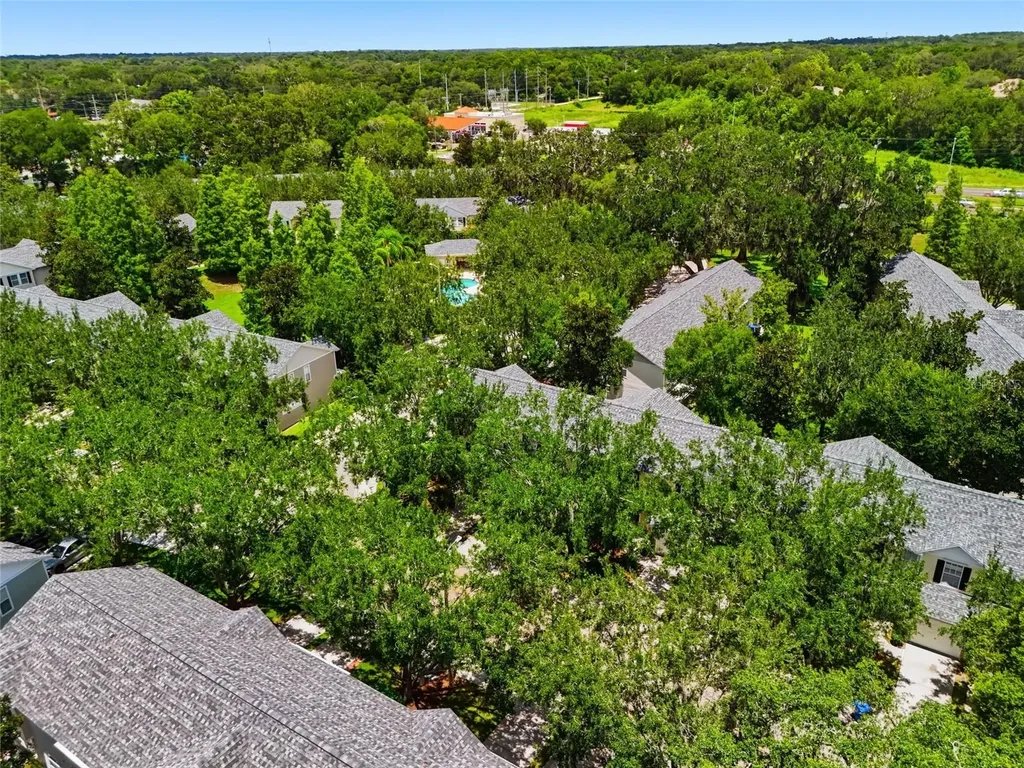 3006 Amber Oak Drive Valrico FL 33594