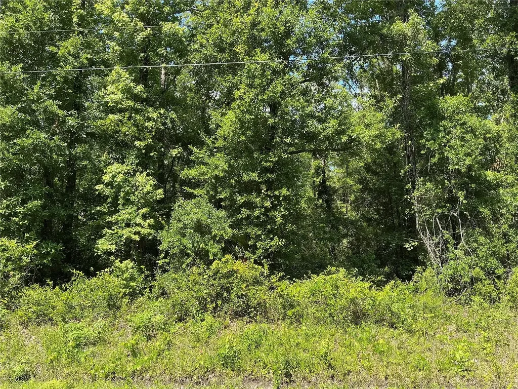10135 Mcmahon Avenue Hastings FL 32145