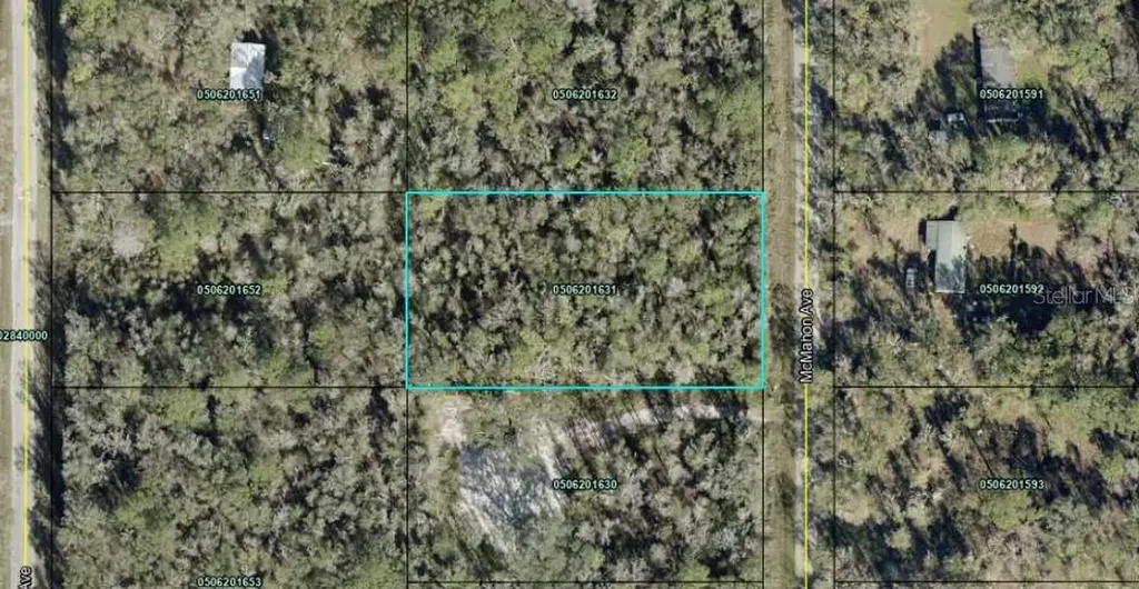 10135 Mcmahon Avenue Hastings FL 32145