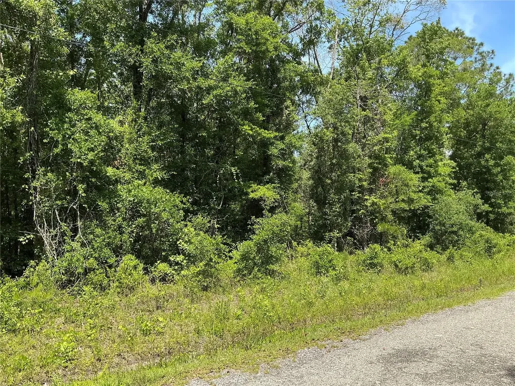 10135 Mcmahon Avenue Hastings FL 32145