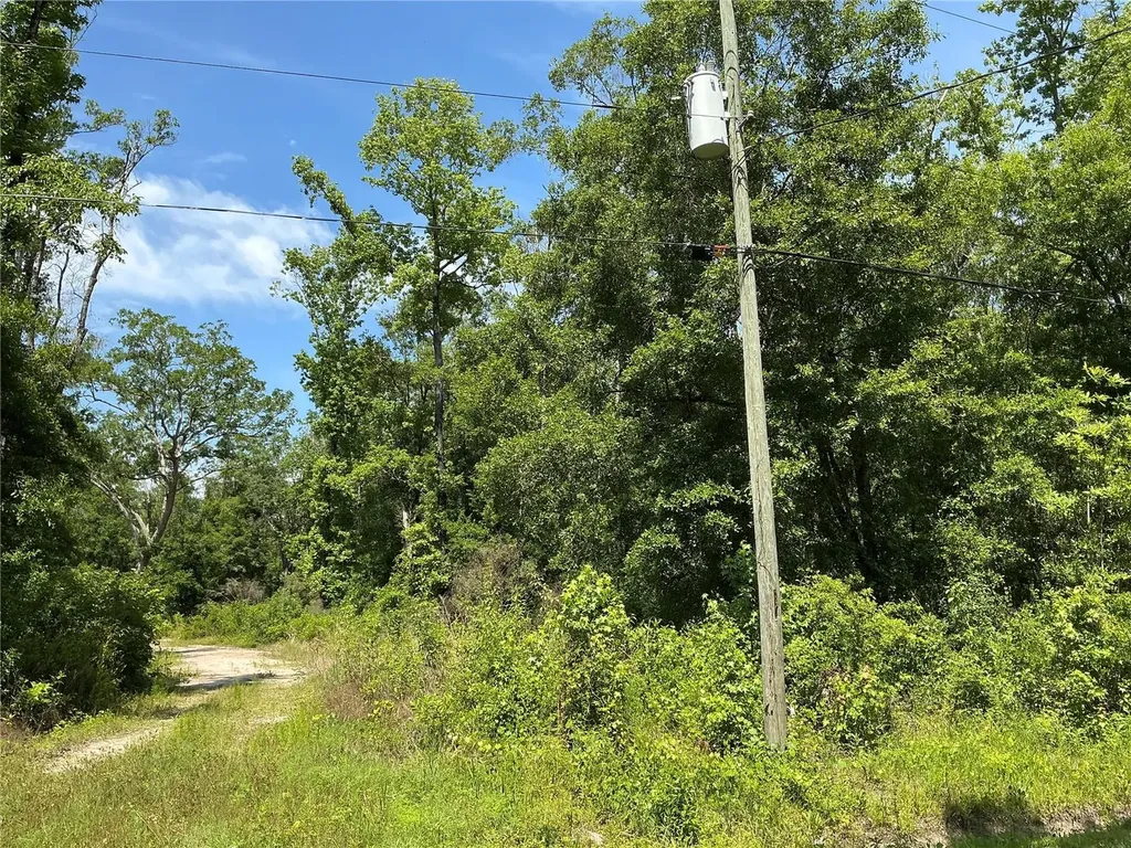 10135 Mcmahon Avenue Hastings FL 32145