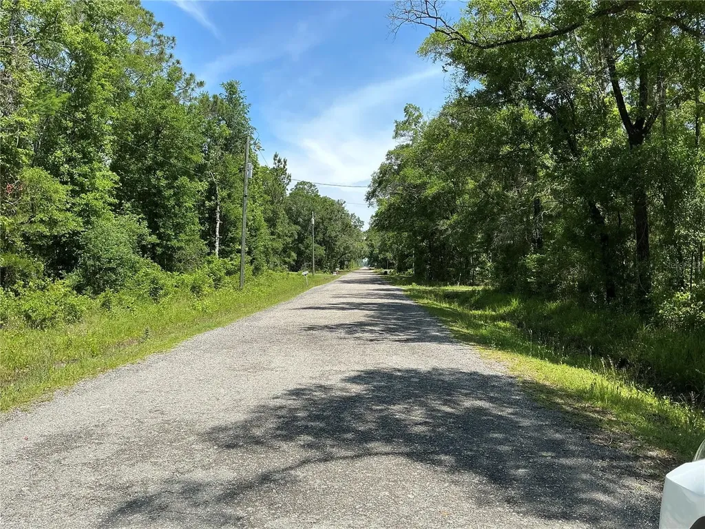 10135 Mcmahon Avenue Hastings FL 32145