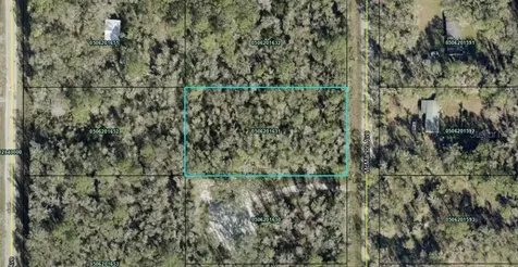 10135 Mcmahon Avenue Hastings FL 32145