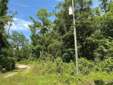 10135 Mcmahon Avenue Hastings FL 32145