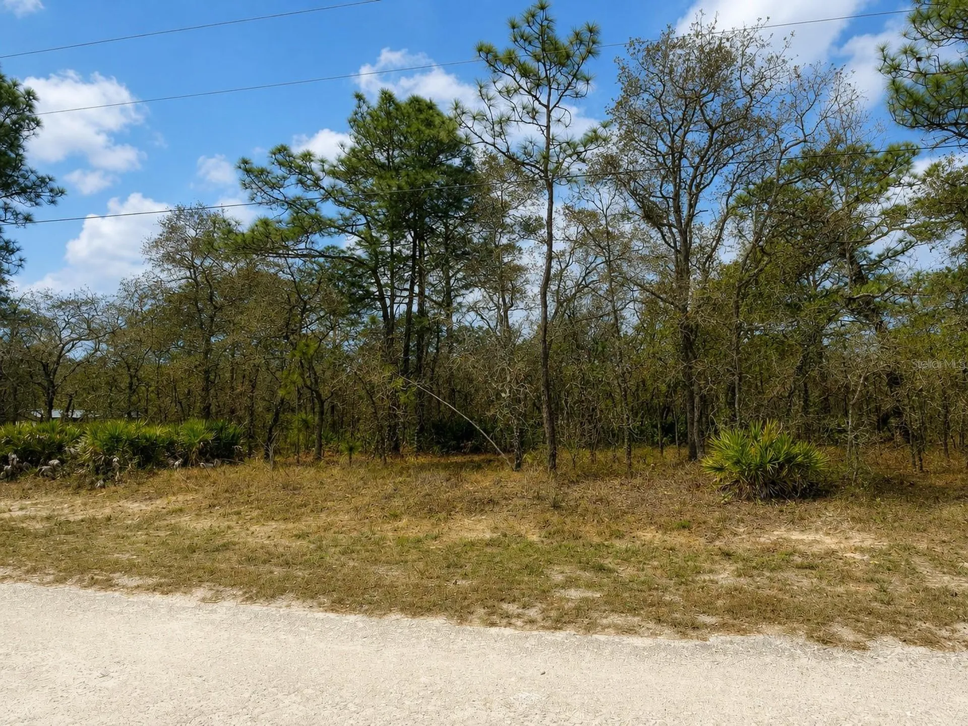 0 Myland Road Brooksville FL 34614