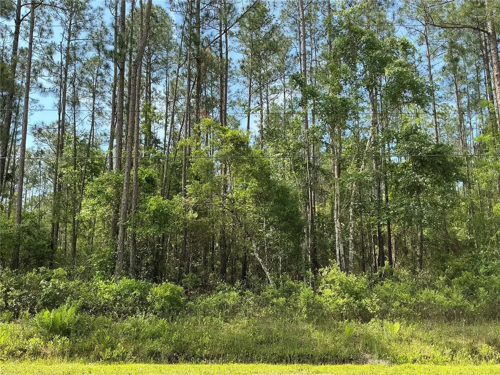 4425 Joyce Street Hastings FL 32145