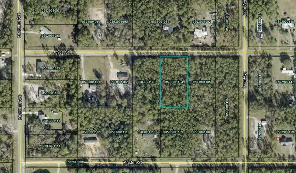 4425 Joyce Street Hastings FL 32145