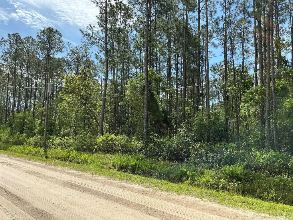 4425 Joyce Street Hastings FL 32145