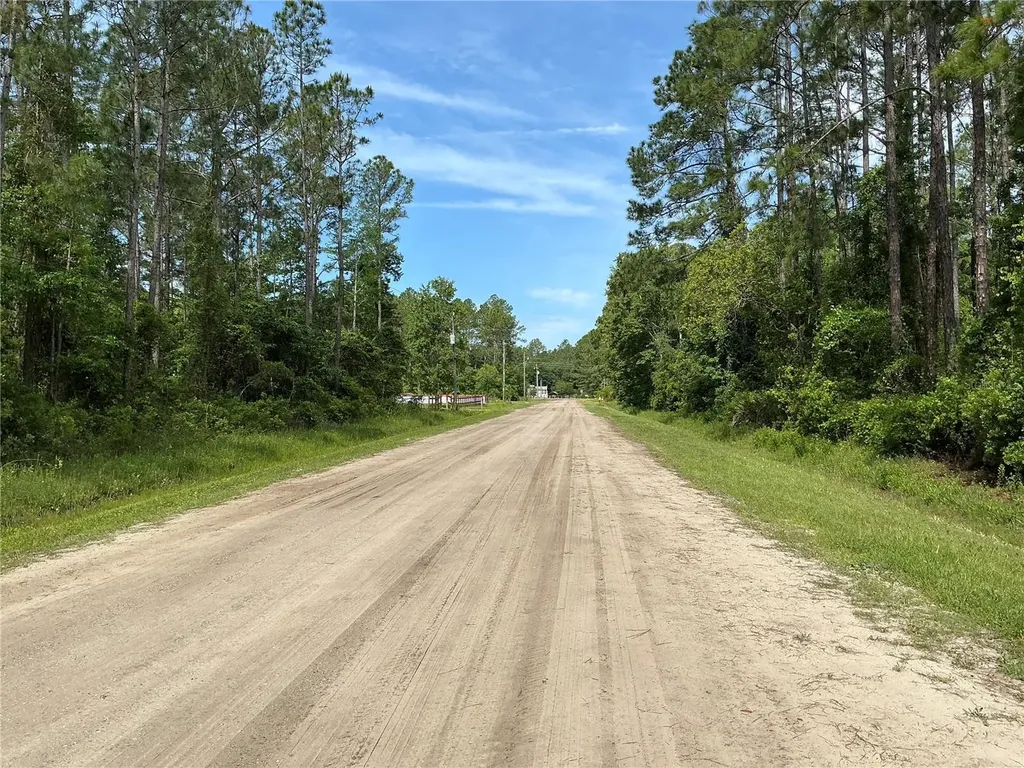 4425 Joyce Street Hastings FL 32145
