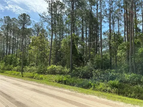 4425 Joyce Street Hastings FL 32145