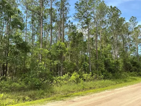 4425 Joyce Street Hastings FL 32145