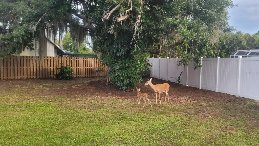 4736 Charing Cross Road Sarasota FL 34241