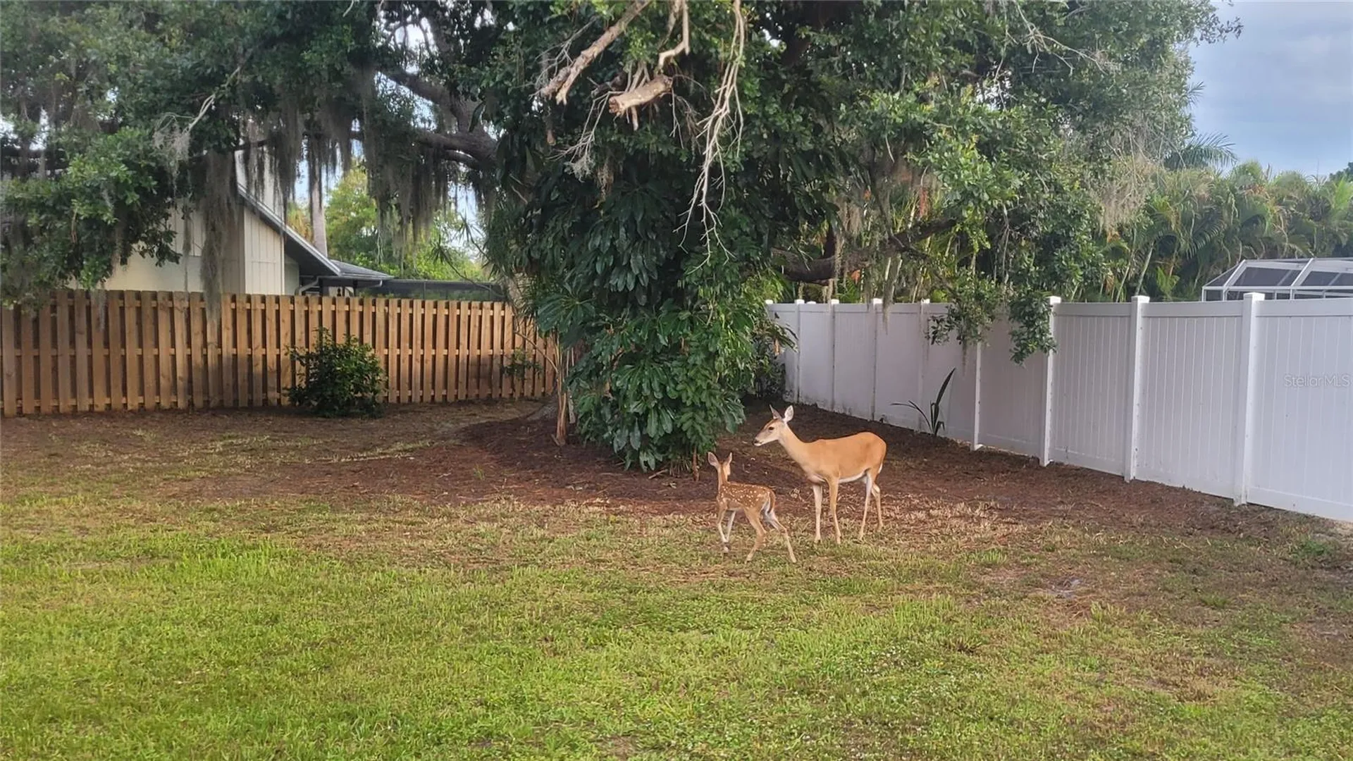 4736 Charing Cross Road Sarasota FL 34241