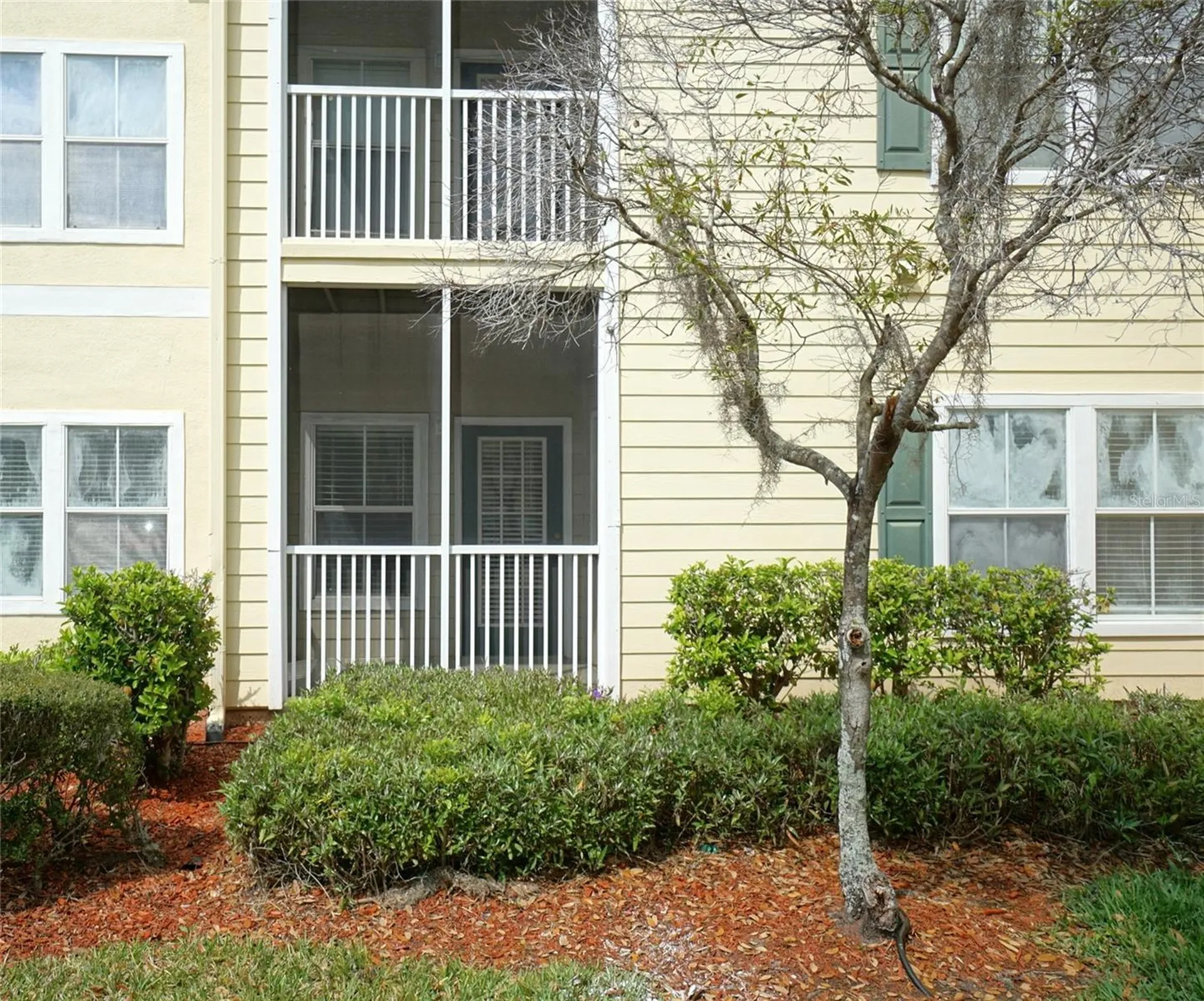 18425 Bridle Club Drive Tampa FL 33647