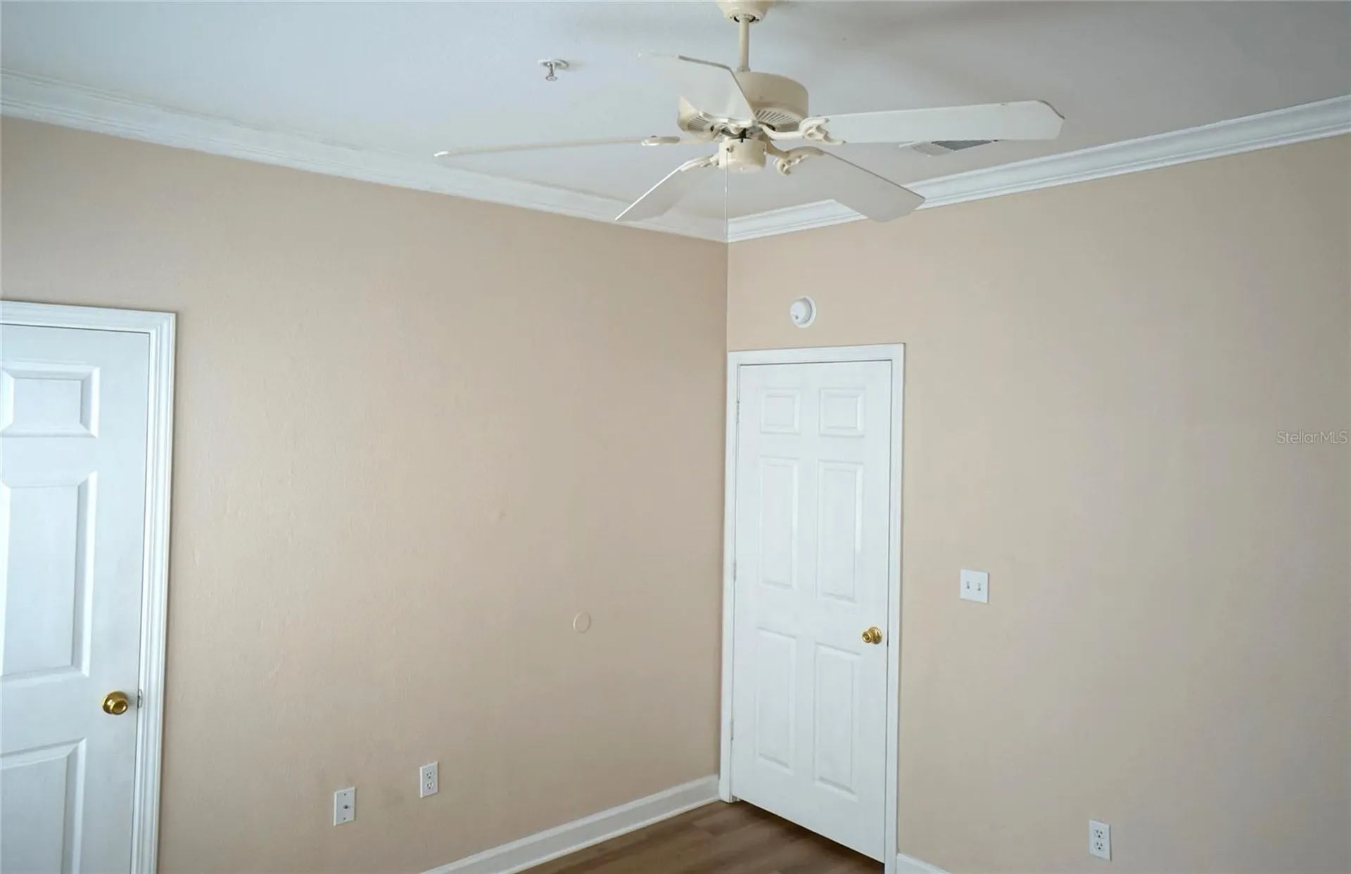 18425 Bridle Club Drive Tampa FL 33647